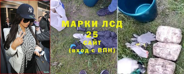 spice Аркадак
