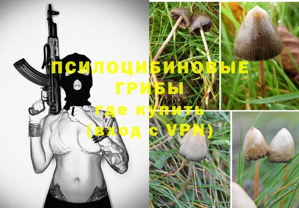 spice Аркадак