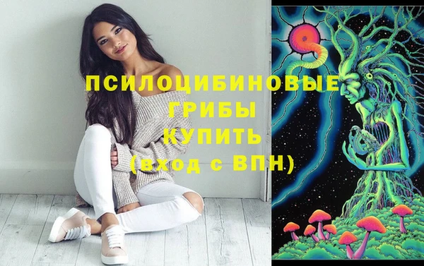 spice Аркадак